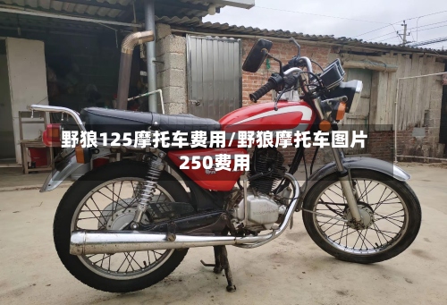 野狼125摩托车费用/野狼摩托车图片250费用
