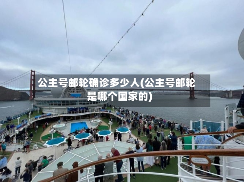 公主号邮轮确诊多少人(公主号邮轮是哪个国家的)