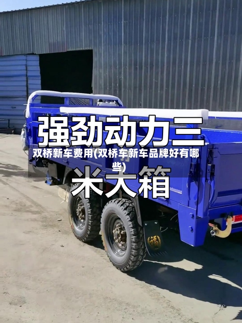 双桥新车费用(双桥车新车品牌好有哪些)