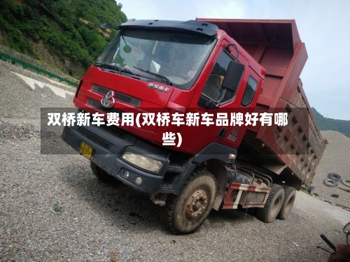 双桥新车费用(双桥车新车品牌好有哪些)-第2张图片