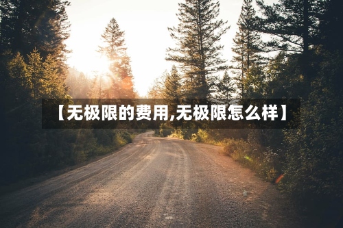 【无极限的费用,无极限怎么样】-第3张图片