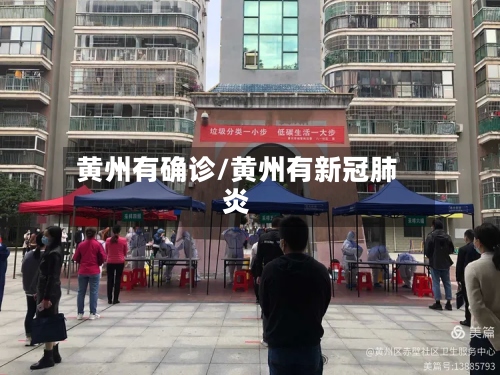 黄州有确诊/黄州有新冠肺炎-第2张图片
