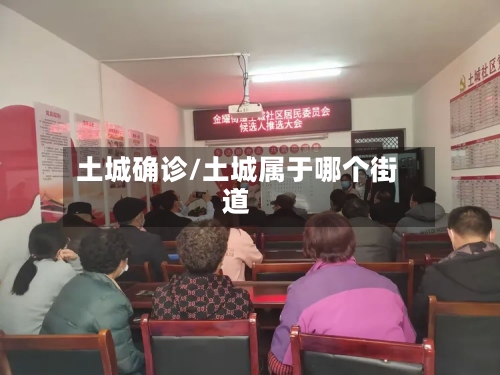土城确诊/土城属于哪个街道