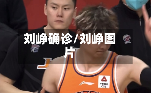 刘峥确诊/刘峥图片-第2张图片