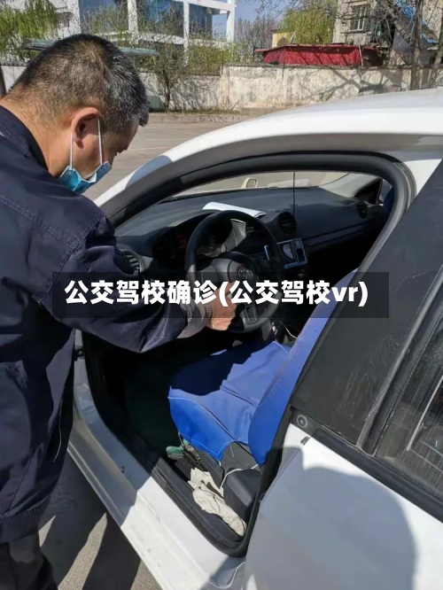 公交驾校确诊(公交驾校vr)