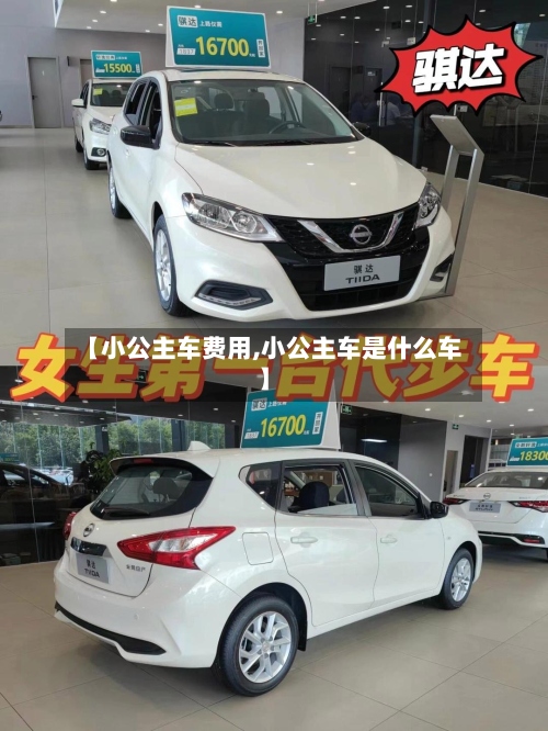 【小公主车费用,小公主车是什么车】