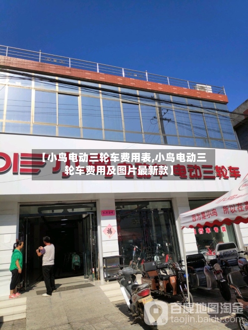 【小鸟电动三轮车费用表,小鸟电动三轮车费用及图片最新款】-第3张图片