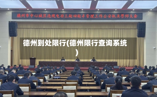 德州到处限行(德州限行查询系统)
