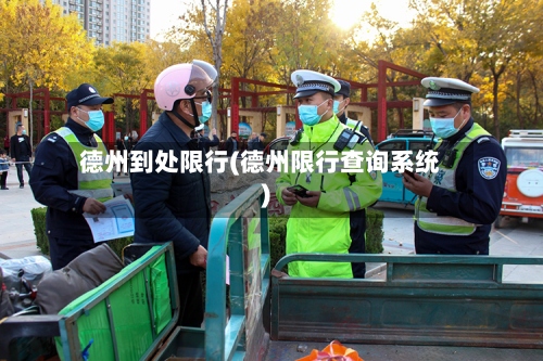 德州到处限行(德州限行查询系统)-第2张图片