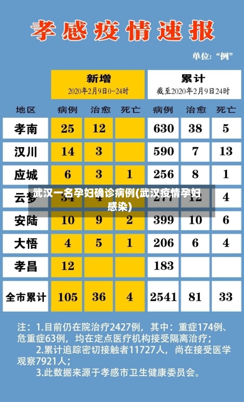 武汉一名孕妇确诊病例(武汉疫情孕妇感染)-第2张图片
