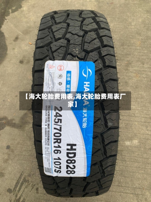 【海大轮胎费用表,海大轮胎费用表厂家】