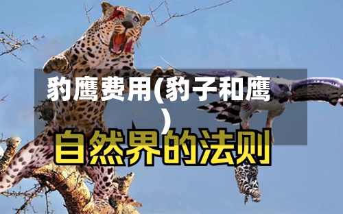 豹鹰费用(豹子和鹰)-第2张图片