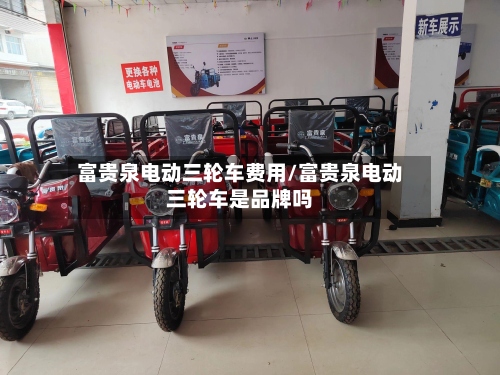 富贵泉电动三轮车费用/富贵泉电动三轮车是品牌吗-第2张图片