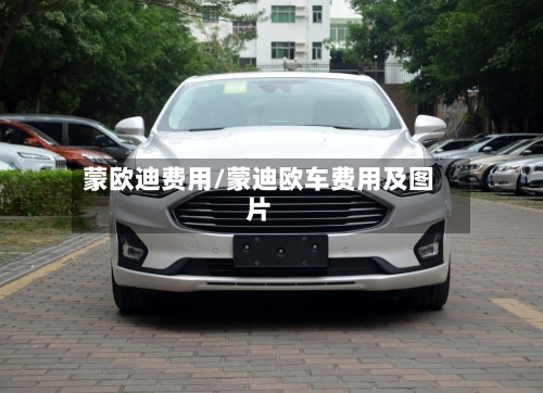 蒙欧迪费用/蒙迪欧车费用及图片-第2张图片