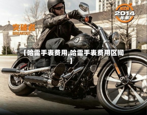 【哈雷手表费用,哈雷手表费用区间】-第2张图片