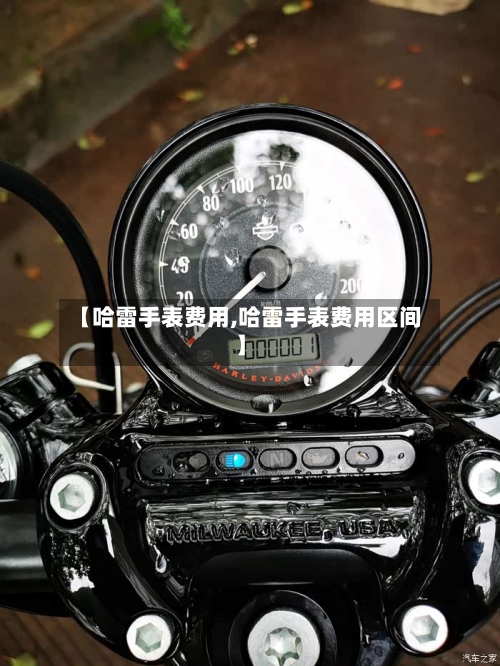 【哈雷手表费用,哈雷手表费用区间】-第3张图片