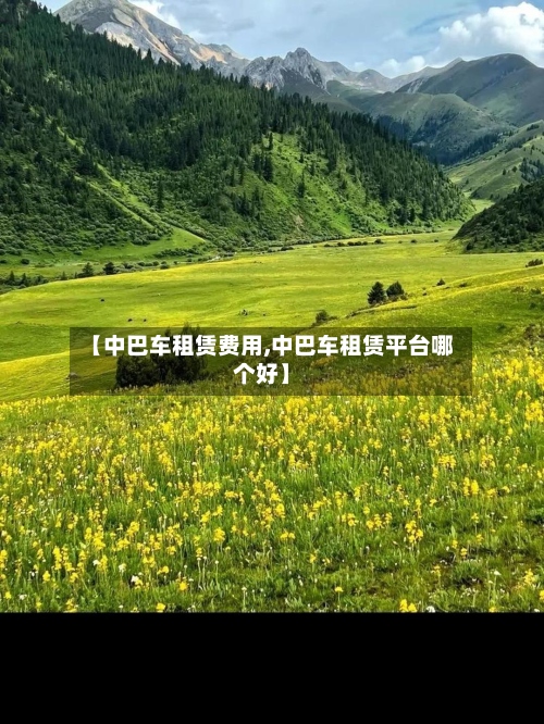 【中巴车租赁费用,中巴车租赁平台哪个好】-第2张图片