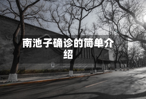 南池子确诊的简单介绍