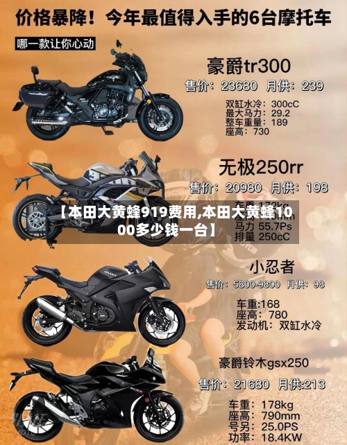 【本田大黄蜂919费用,本田大黄蜂1000多少钱一台】-第2张图片