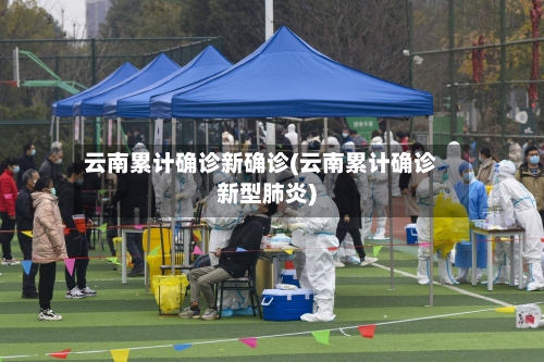 云南累计确诊新确诊(云南累计确诊新型肺炎)