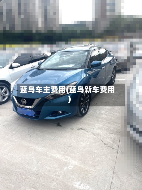 蓝鸟车主费用(蓝鸟新车费用)
