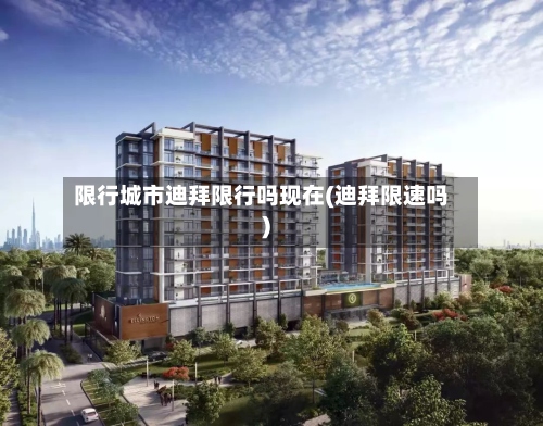 限行城市迪拜限行吗现在(迪拜限速吗)-第2张图片