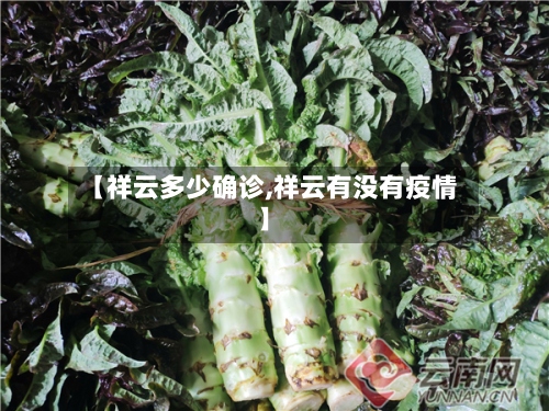【祥云多少确诊,祥云有没有疫情】-第3张图片