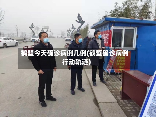 鹤壁今天确诊病例几例(鹤壁确诊病例行动轨迹)-第2张图片