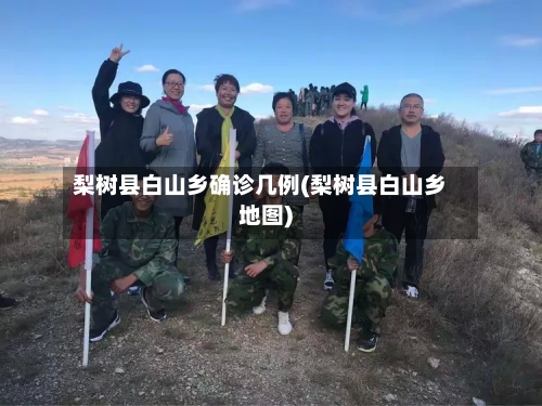 梨树县白山乡确诊几例(梨树县白山乡地图)-第2张图片