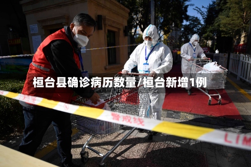 桓台县确诊病历数量/桓台新增1例-第2张图片