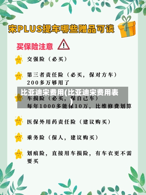 比亚迪宋费用(比亚迪宋费用表)