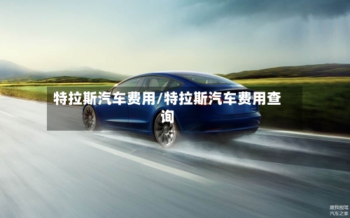 特拉斯汽车费用/特拉斯汽车费用查询-第2张图片