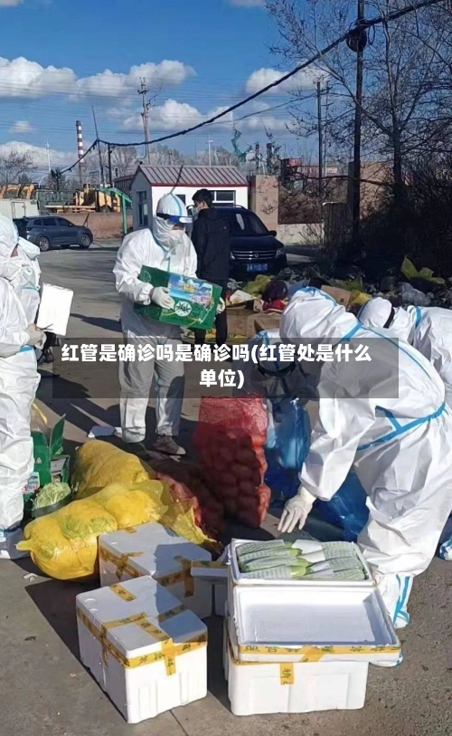 红管是确诊吗是确诊吗(红管处是什么单位)-第2张图片
