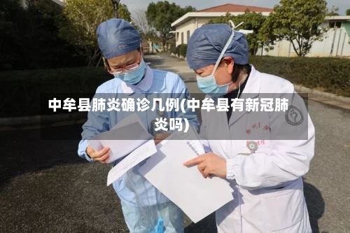 中牟县肺炎确诊几例(中牟县有新冠肺炎吗)-第2张图片