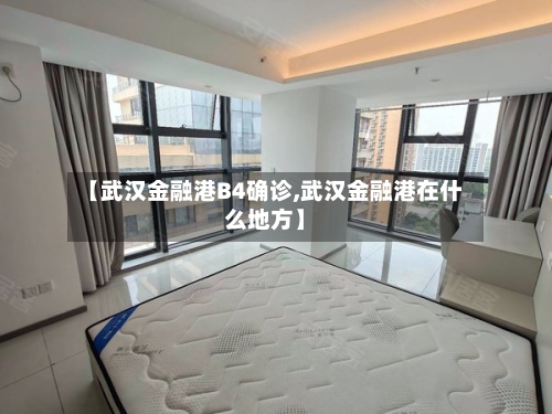 【武汉金融港B4确诊,武汉金融港在什么地方】-第2张图片