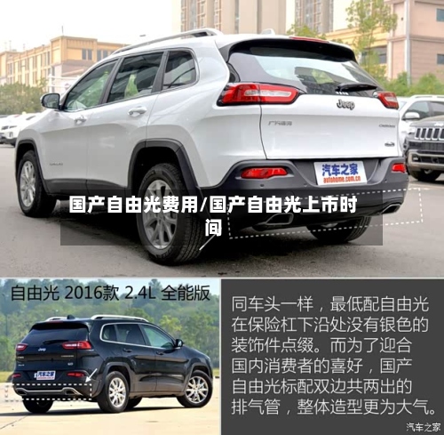 国产自由光费用/国产自由光上市时间
