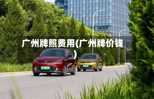 广州牌照费用(广州牌价钱)