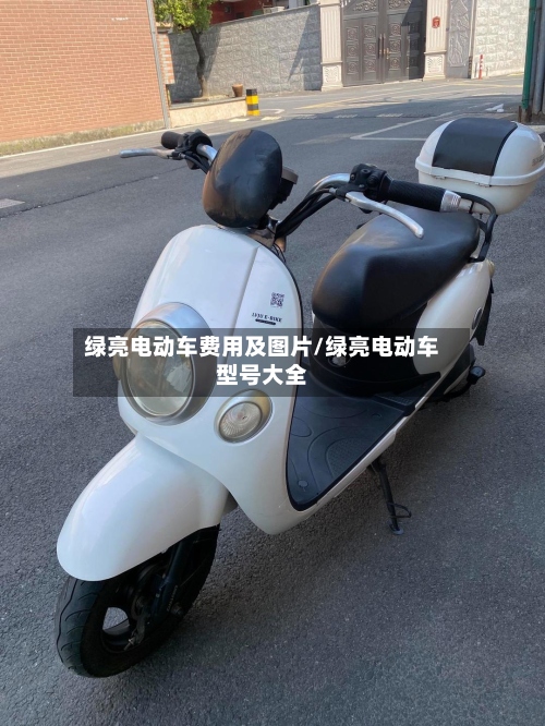 绿亮电动车费用及图片/绿亮电动车型号大全
