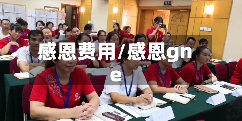感恩费用/感恩gne-第2张图片