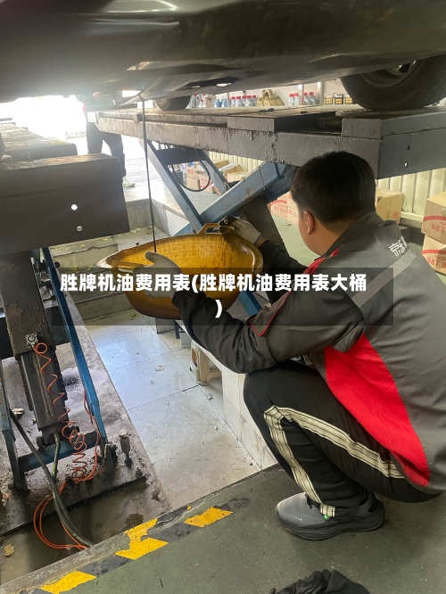 胜牌机油费用表(胜牌机油费用表大桶)-第3张图片