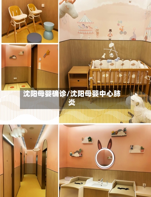 沈阳母婴确诊/沈阳母婴中心肺炎