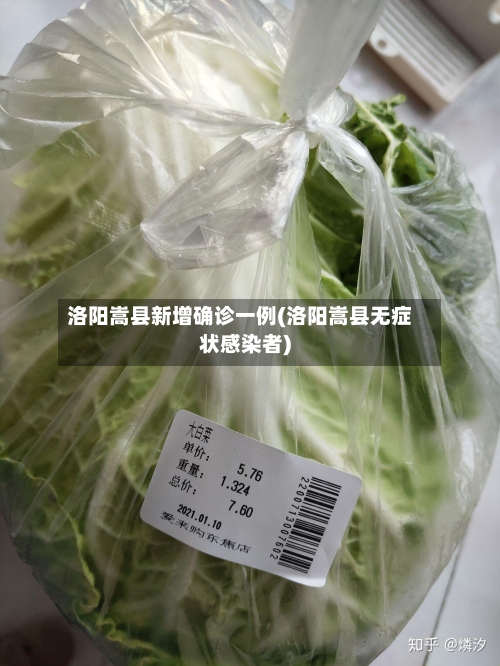 洛阳嵩县新增确诊一例(洛阳嵩县无症状感染者)-第3张图片