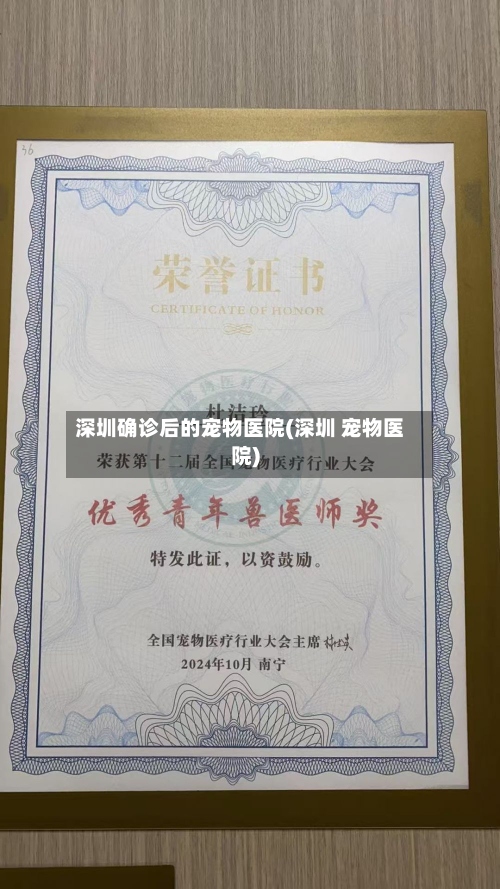 深圳确诊后的宠物医院(深圳 宠物医院)-第3张图片