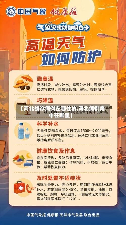 【河北确诊病例在哪住的,河北病例集中在哪里】