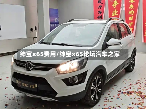 绅宝x65费用/绅宝x65论坛汽车之家-第2张图片