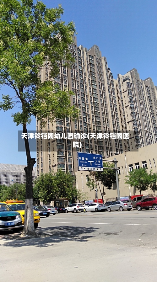 天津铃铛阁幼儿园确诊(天津铃铛阁医院)-第3张图片