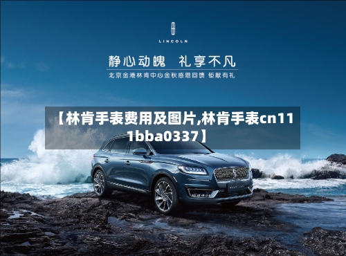 【林肯手表费用及图片,林肯手表cn111bba0337】