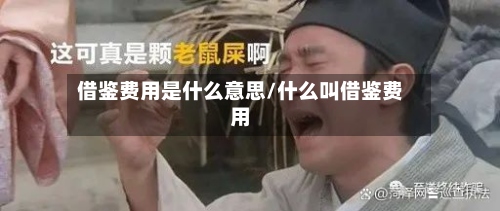 借鉴费用是什么意思/什么叫借鉴费用-第3张图片