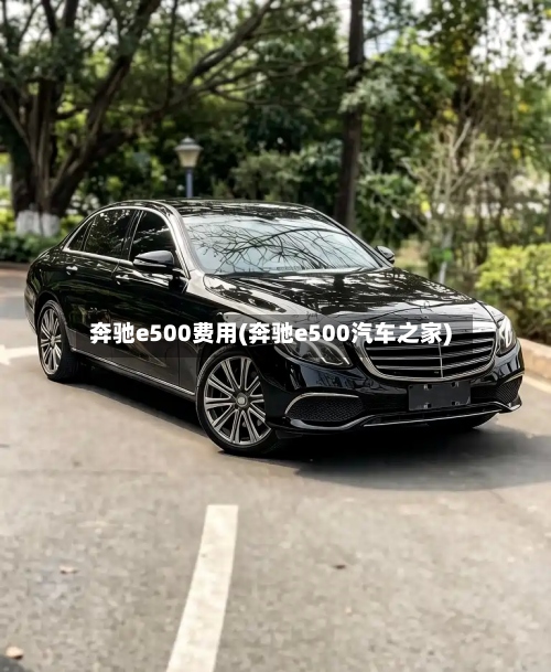 奔驰e500费用(奔驰e500汽车之家)-第2张图片