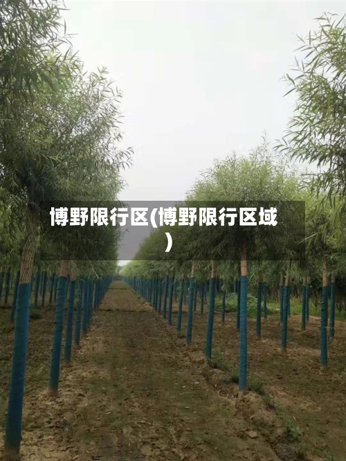 博野限行区(博野限行区域)